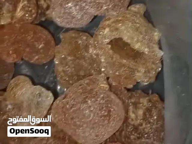 صمغ عربي صمغ عربي