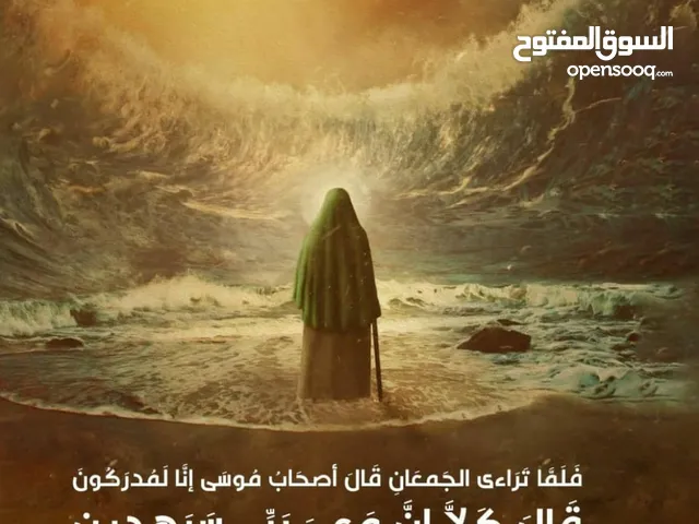 غرف عزاب جامعه صنعاء