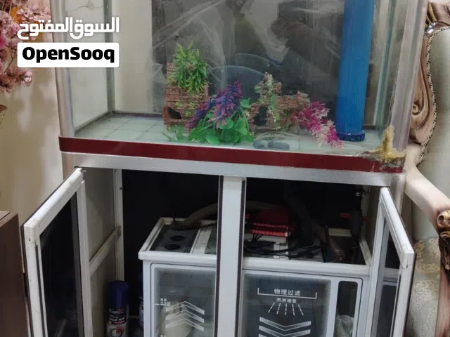 خوش سمك قطعتين