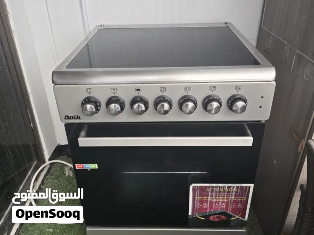 Electric oven