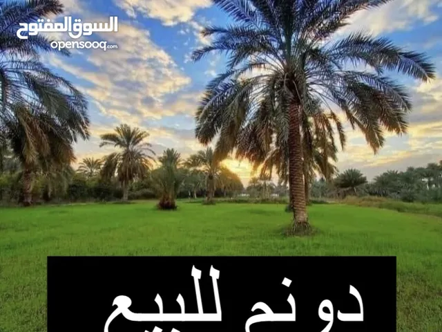 Farm Land for Sale in Baghdad Arab Ejbur