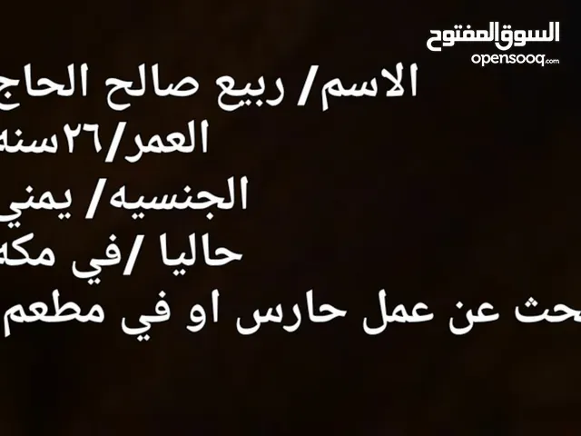 ربيع صالح