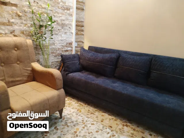 تخم ديوان تركي درجة اولى