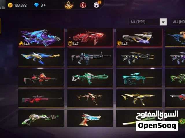 Lvl 70 Old PvP acct  6 yrs old  600 bundles  3 evos 1 maxed  instant delivery
