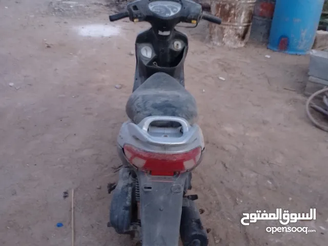سيام كوري للبيع