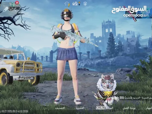 Pubg Accounts and Characters for Sale in Rif Dimashq