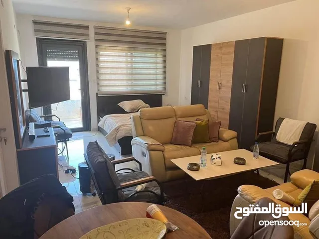 استوديو مفروش للايجار في المصيون قرب فندق الكرمل لموظفات فقط