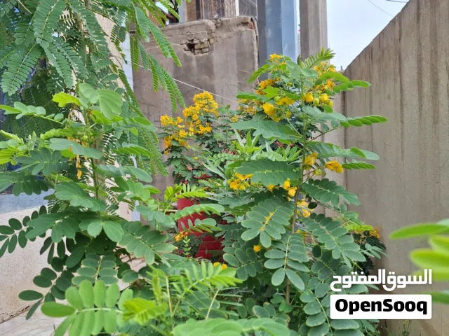 110 m2 4 Bedrooms Townhouse for Sale in Basra Baradi'yah
