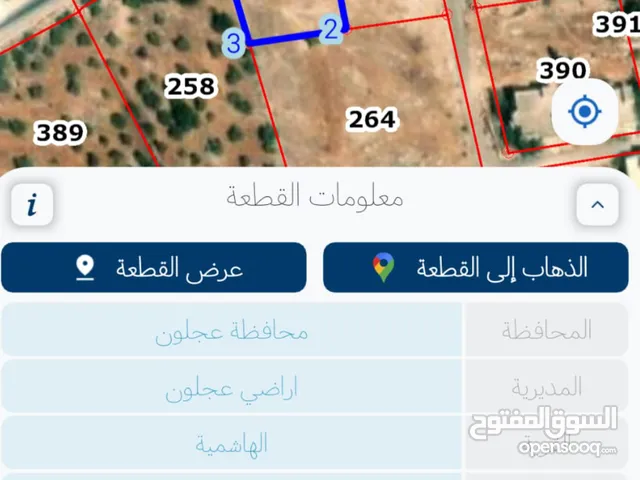 قطعتين ارض مميزة عالشارع الرئيسي