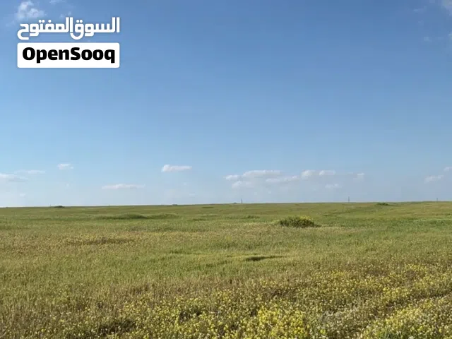 أرض استثمارية للبيع في أربد مزرعة تميرة حوض أبو ظهور قرب جسر النعيمة مفروزة قوشان مستقل خلف محطة ال