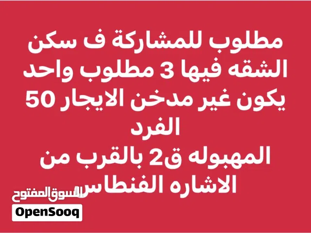 مطلوب للمشاركة سكن