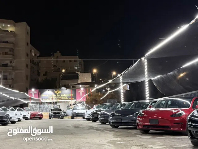 2023 تيسلا موديل 3 Standard Plus