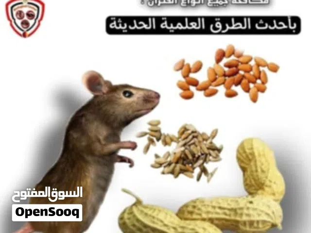 شركة مكافحة حشرات