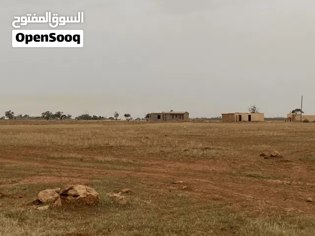 اثنين هكتار ونص للبيع شارع الاطيوش سي فرج