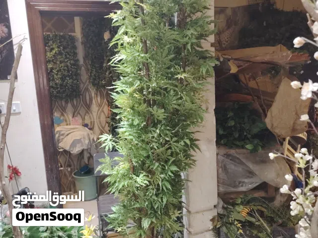 معمل ابو الورد للاشجار الصناعيه