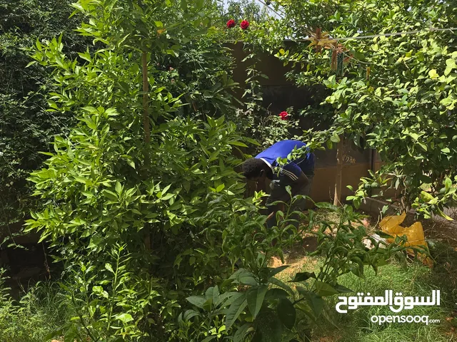 165 m2 4 Bedrooms Townhouse for Sale in Tripoli Tajura