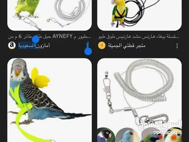 مطلوب حبل ببغاء للطيران الحر