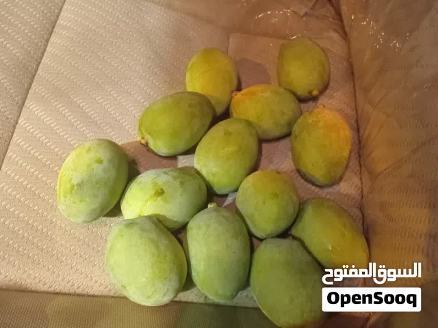مانجو اخضر للبيع طازج يومي