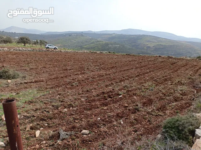 ارض تصنيف A للبيع مناسبه للأستثمار والسكن