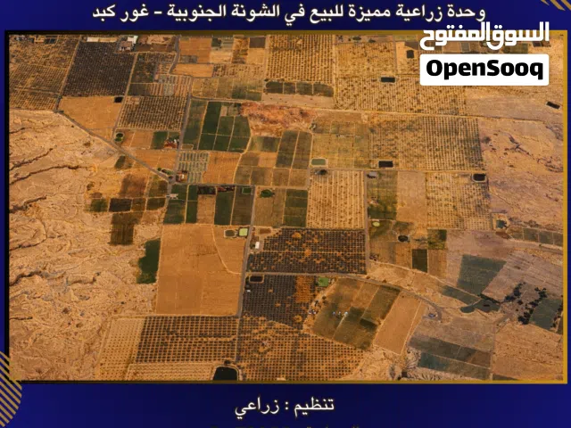 Farm Land for Sale in Salt South Shuna
