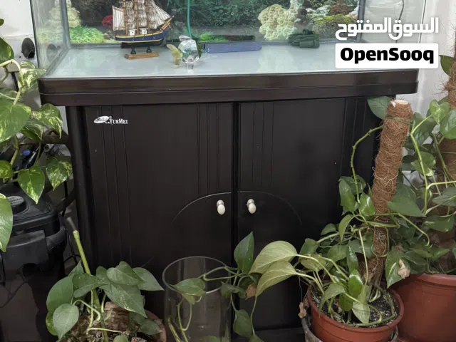 Fish Aquarium with Free External Filter for Sale