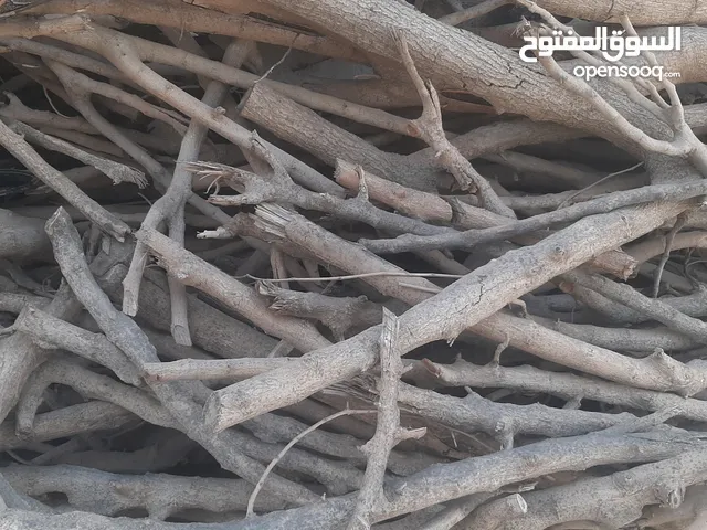 Other Ovens in Tripoli