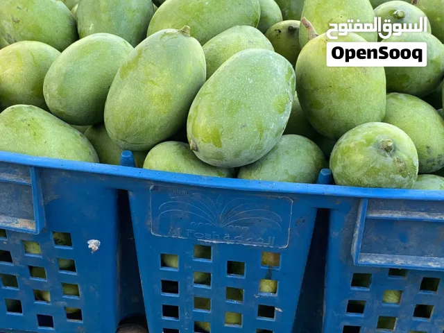 لبيع حدال امبا اخضر حامض درجه أولى حجم جامبو