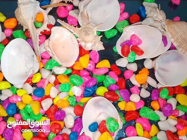 حوض سمك زجاجي بحاله ممتازه جدآ