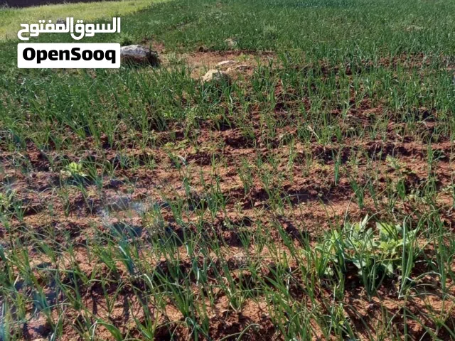 Residential Land for Sale in Salt Other