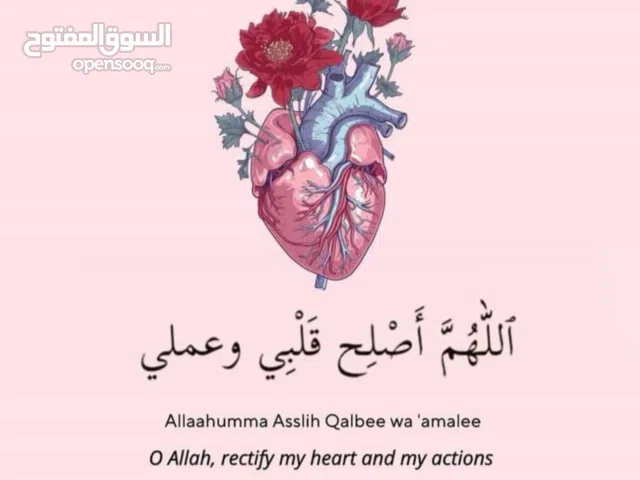 ابو ايوب سويطي