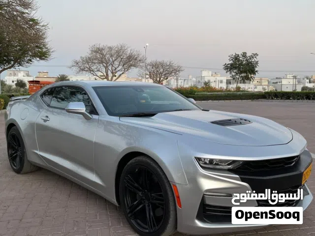 كومارو SS 2019