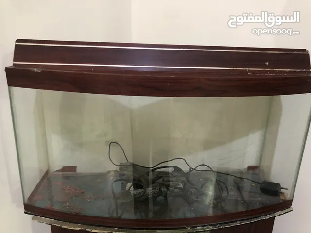 حوض سمك مع قاعدة مرتفعة وارفف زجاج