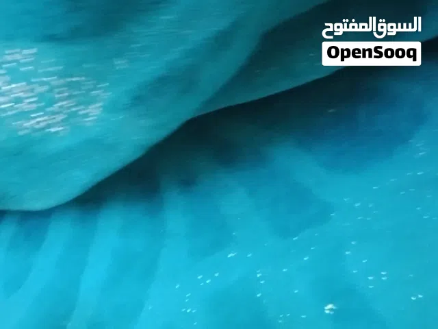 سجادتين ( زوليتين) للبيع