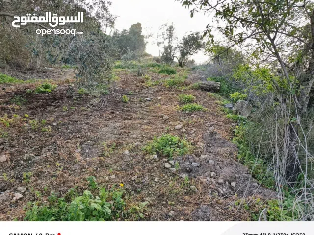 ارض للبيع بسعر مغري جداً