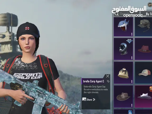 Pubg Accounts and Characters for Sale in Hawally
