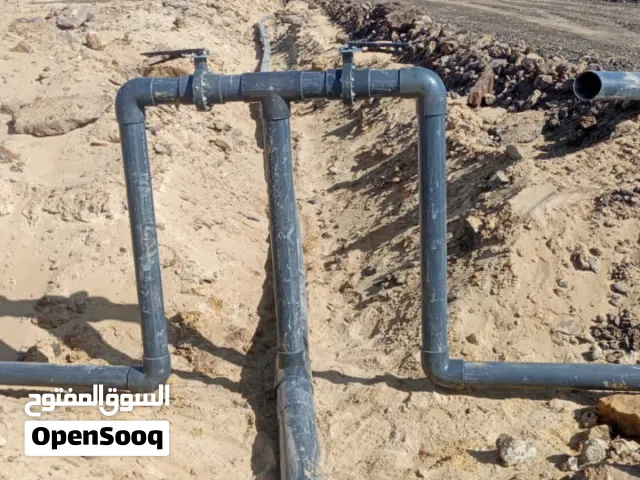 Farm Land for Sale in Giza Bahariya Oasis