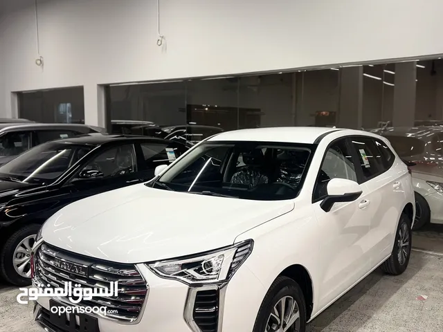 Haval Jolion 2024 in Northern Governorate