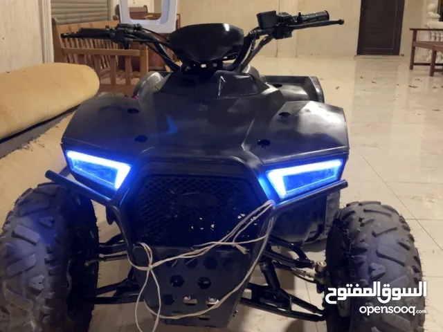 بقي راينو 2024