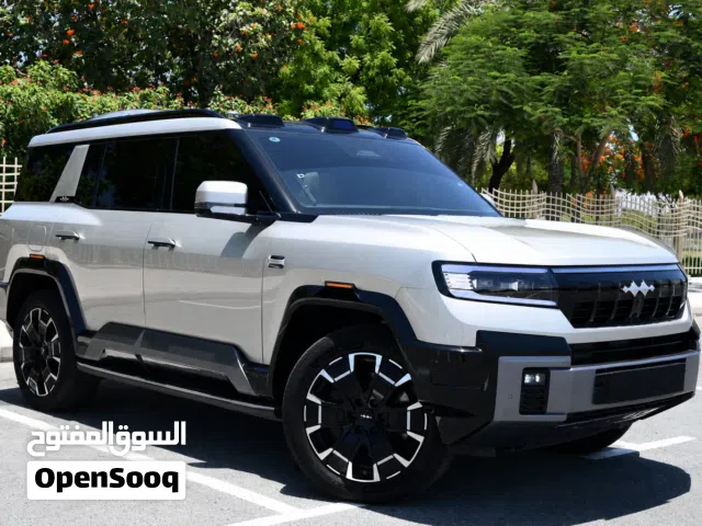 2025 بي واي دي ليوبارد 8