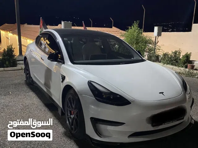 2023 تيسلا موديل 3 Standard Plus