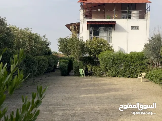 مزرعه نوارس دجله