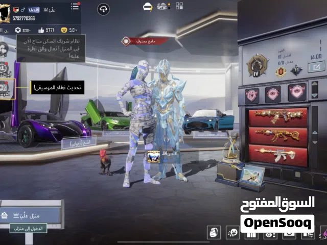 Pubg Accounts and Characters for Sale in Ramtha