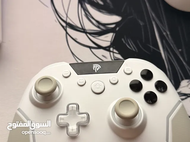 Pro controller for pc