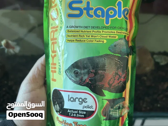 أكل أسماك هيكاري اصلي