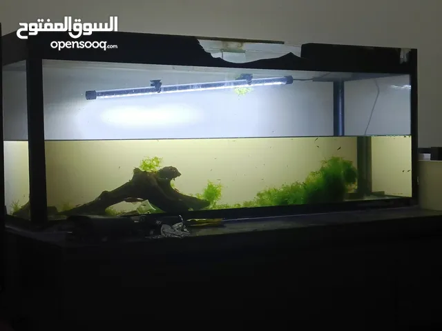 One Meter Aquarium, Fish Tank Dubai