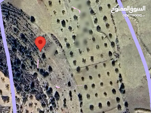 Farm Land for Sale in Zaghouan Other