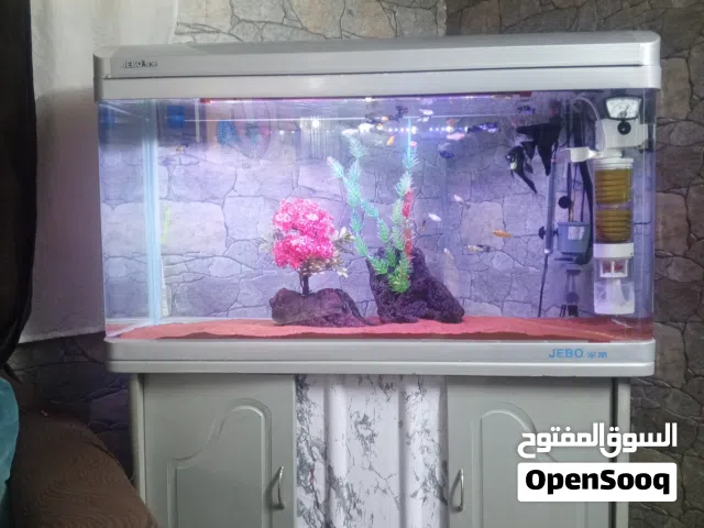 حوض سمك اجنبي ما شاء الله تبارك الرحمن بسعر مغري