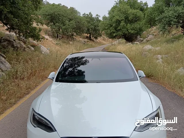 New Tesla Model S in Amman