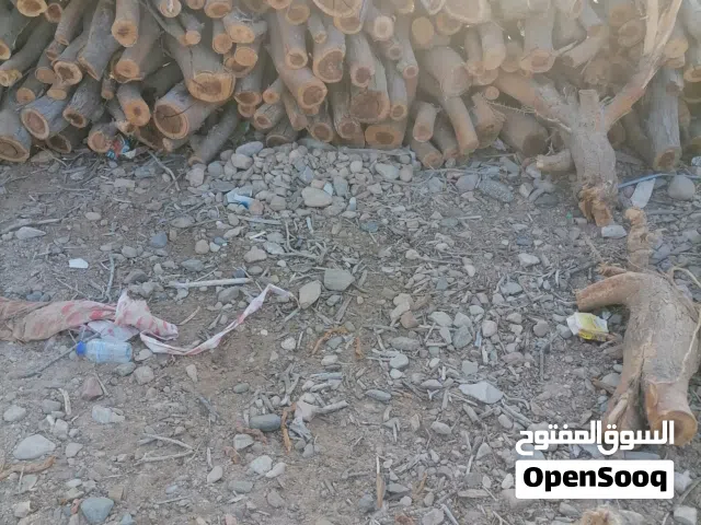 للبيع حطب سمر اصلي