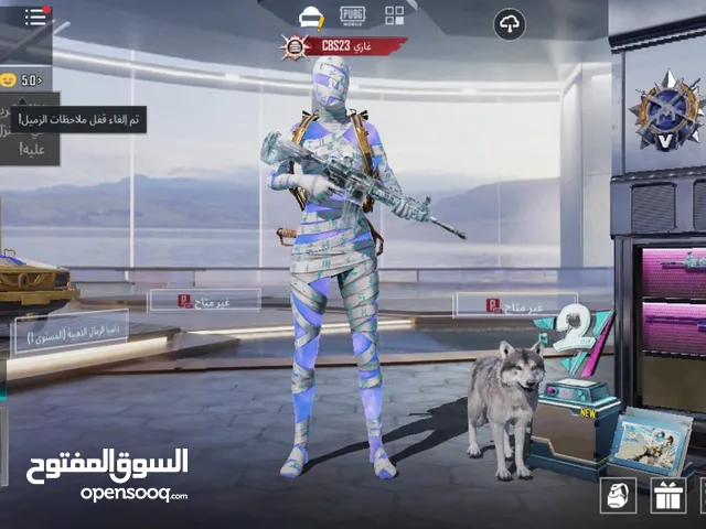 Pubg Accounts and Characters for Sale in Sharjah